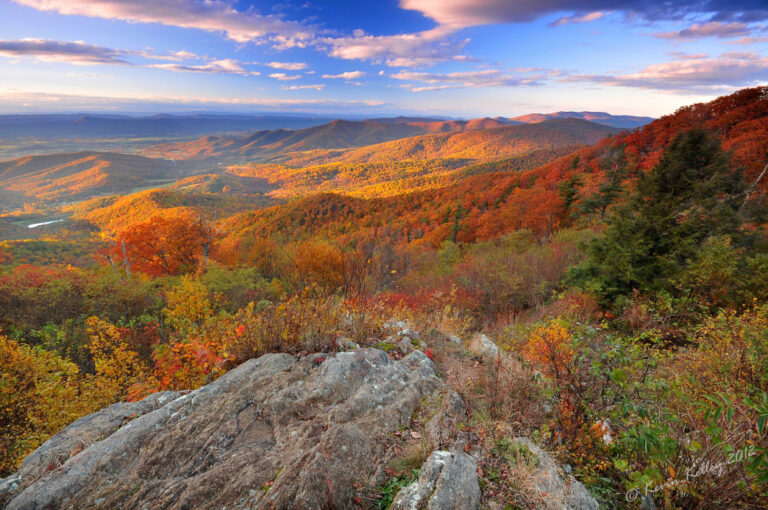 Virginia’s Vibrant Autumn Colors Could Be Early This Year