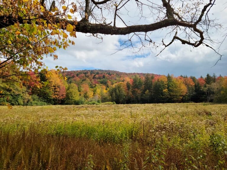 Blue Ridge Parkway Welcomes Millions of Visitors In October 