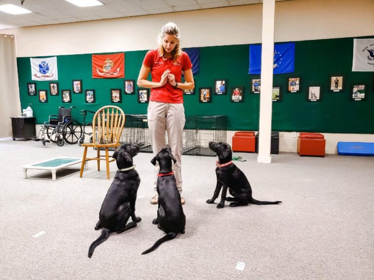 Former Dolphin Trainer Goes To The Dogs For A Cause