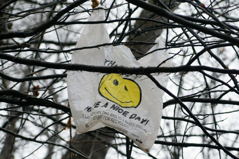 Disposable Plastic Bag Tax Begins in Roanoke Starting January 1, 2022