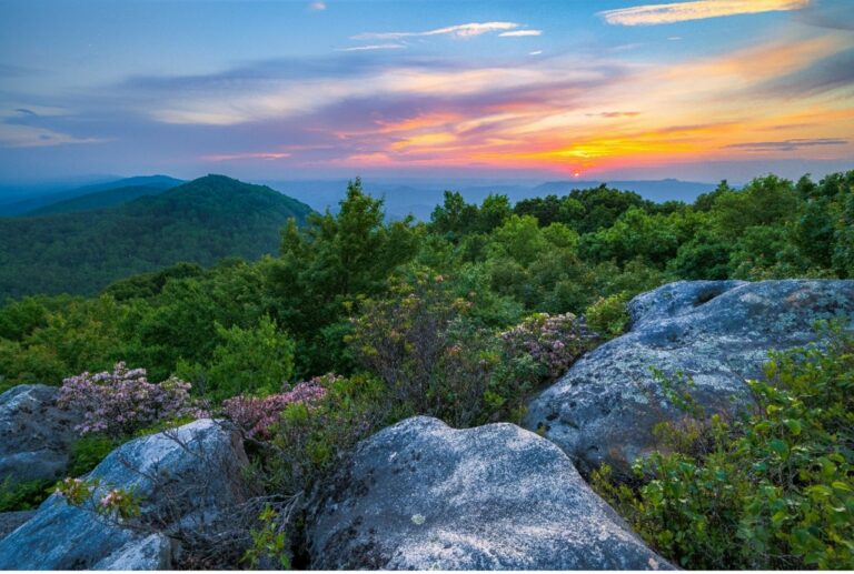 Scenic Virginia Announces 2021 Virginia Vistas Photo Contest  Winners