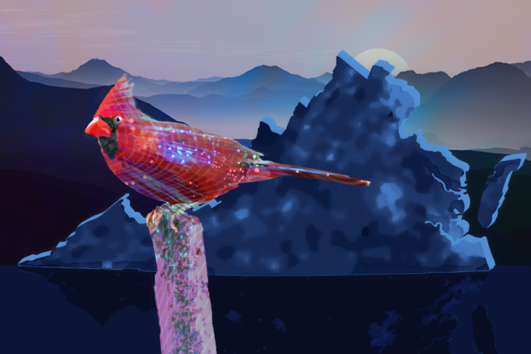 VA Tech Criminologists Awarded Grant to Study Impact of Cybercrime on Virginians