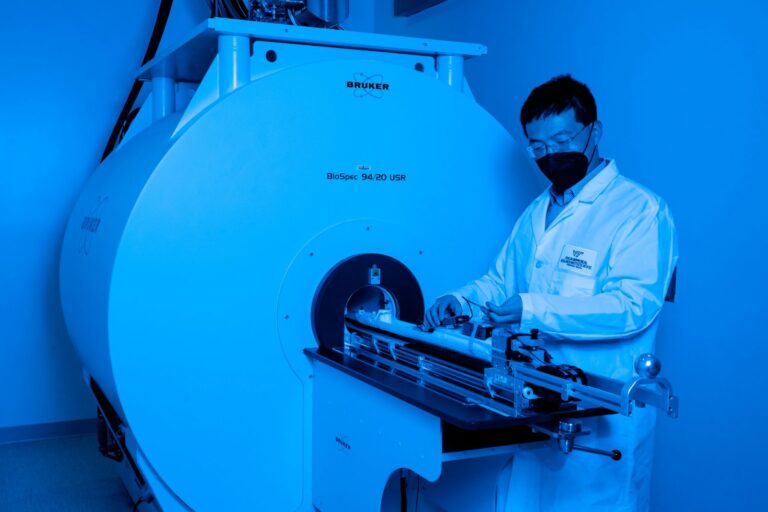 VTC Scientists Link Microorganisms in Gut to Early Brain Development