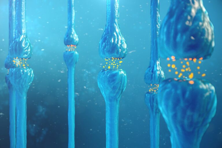 International Conference To Be Held in Roanoke Will Explore Brain Cancer, Mental Health, Neurodegeneration