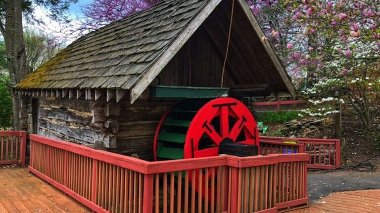 Mill Mountain Zoo’s Old Mill Gets New Life