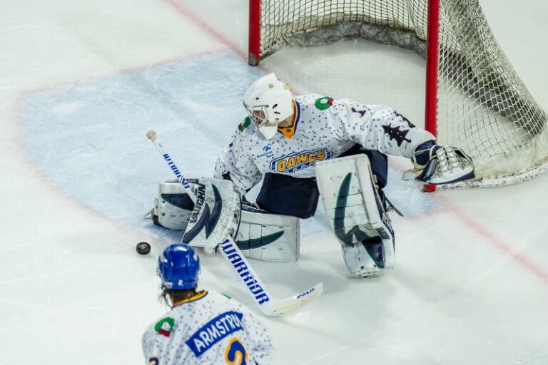 Rail Yard Dawgs Sweep Huntsville; Will Play Peoria Rivermen For SPHL Championship