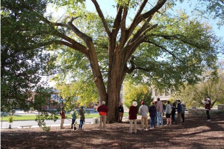 Virginia Tech to Host Forest Landowner Extravaganza