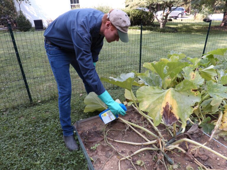 VCE Advises Gardeners to Use Pest Management Plans In Lieu of Homemade Sprays