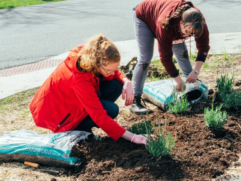 VA Tech Earns Bee Campus USA Certification for Work With Pollinators