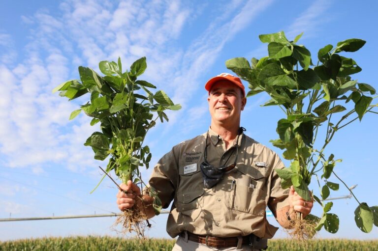 Agriculture Center / VCE Help VA Tech Showcase Land-grant Mission at 2022 Virginia Ag Expo