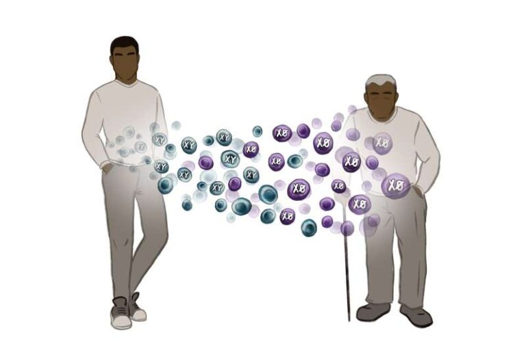 UVA Study: Loss of Sex Chromosome With Age Leads to Earlier Death for Men