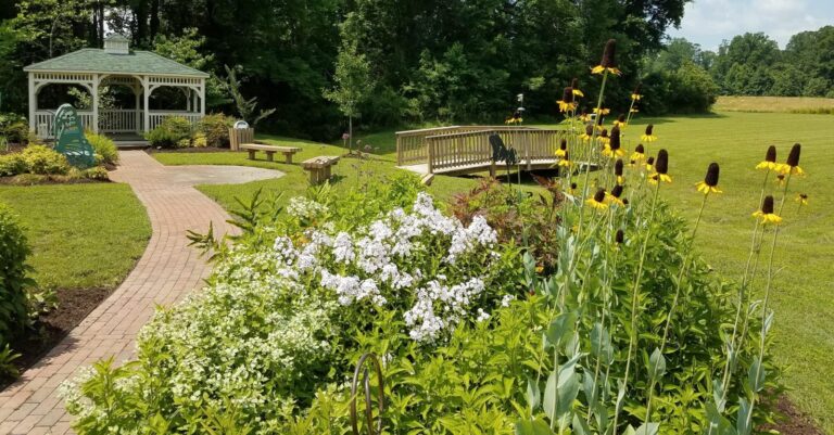 VCE Agents: For Personal and Community Health, Start Gardening