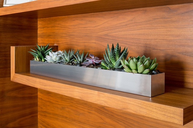 MELINDA MYERS: Grow a Beautiful Indoor Succulent Garden