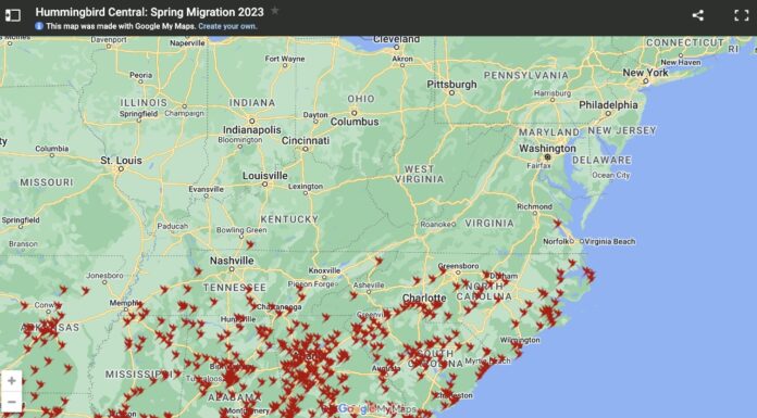 Southwest Virginia Wildlife Center of Roanoke: Hummingbirds Are on The ...