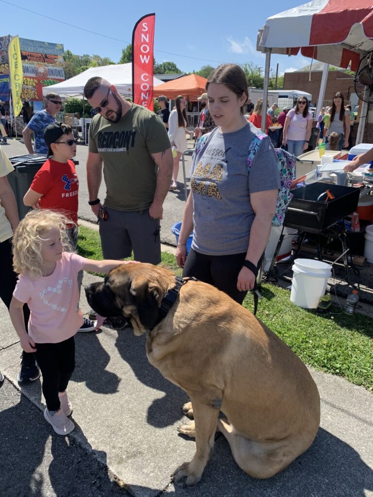 67th Vinton Dogwood Festival Delights Community