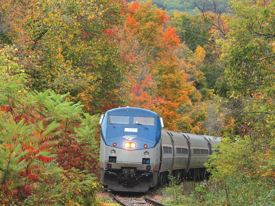 Amtrak Fall Foliage 2025 Vivi Joletta