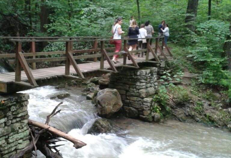 Roaring Run Recreation Area Temporarily Closed For Repairs