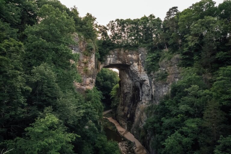Natural Bridge State Park Named Green Park of The Year