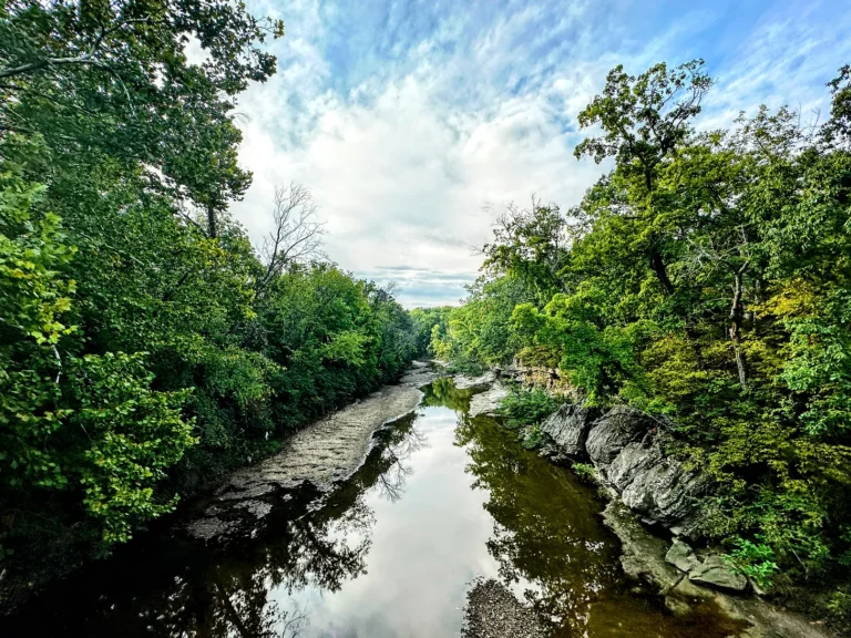 FRED FIRST: Not In Lake Wobegon Any More . . .