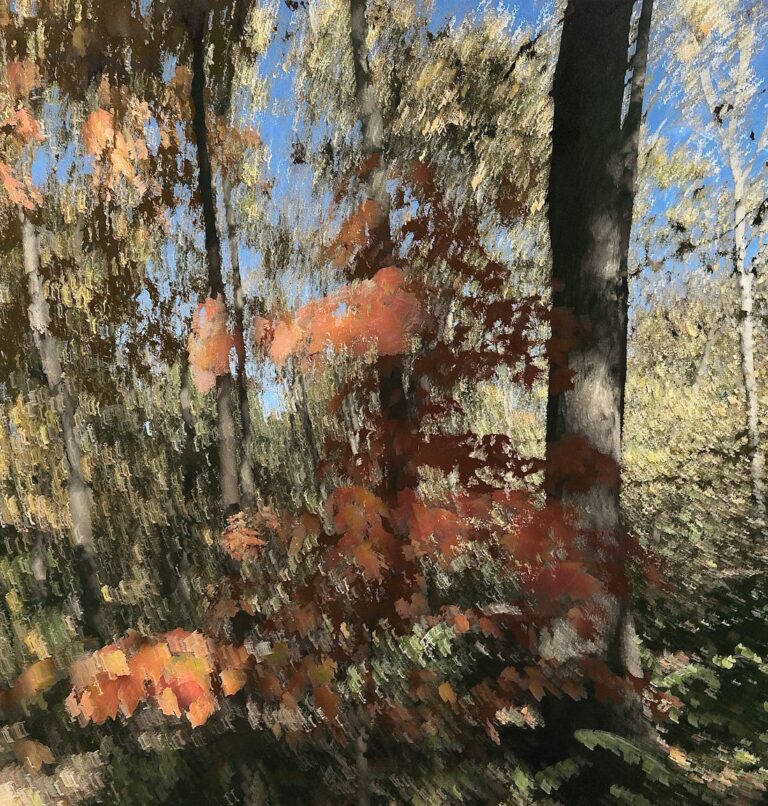 FRED FIRST: The Wandering Year