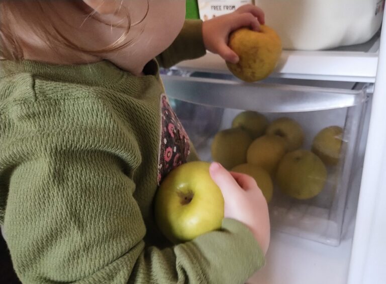 Have A Bounty of Virginia Apples? Here’s How to Keep Them Fresh Longer