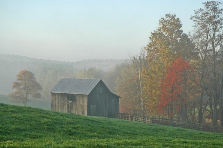 FRED FIRST: I Had a Thought! I Lost It.