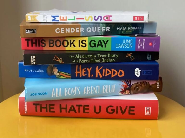 Virginia Schools Secretly Remove LGBTQ+ Book Amid Explicit Images Controversy