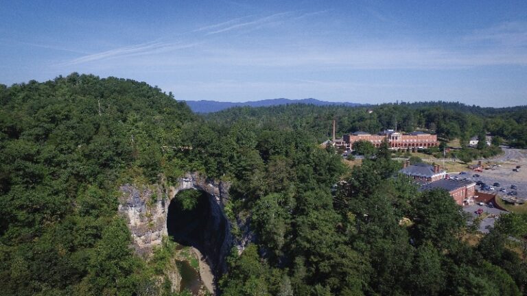 Natural Bridge State Park Hosts Festival of Trees / Collects Donations for Local Charities