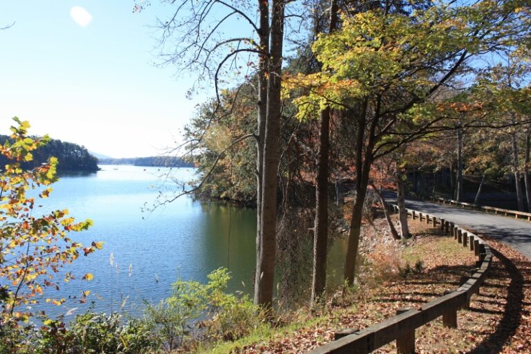 Explore a Virginia State Park and Opt Outside on Thanksgiving Weekend