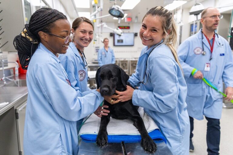 Animal Instructors Program Bridges Community / Veterinary Education