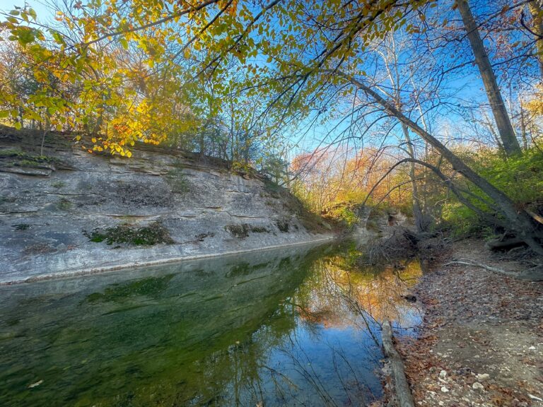 FRED FIRST: Turning Points