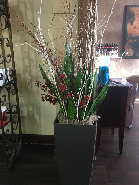 MELINDA MYERS: Holiday Creations From Indoor and Garden Plants