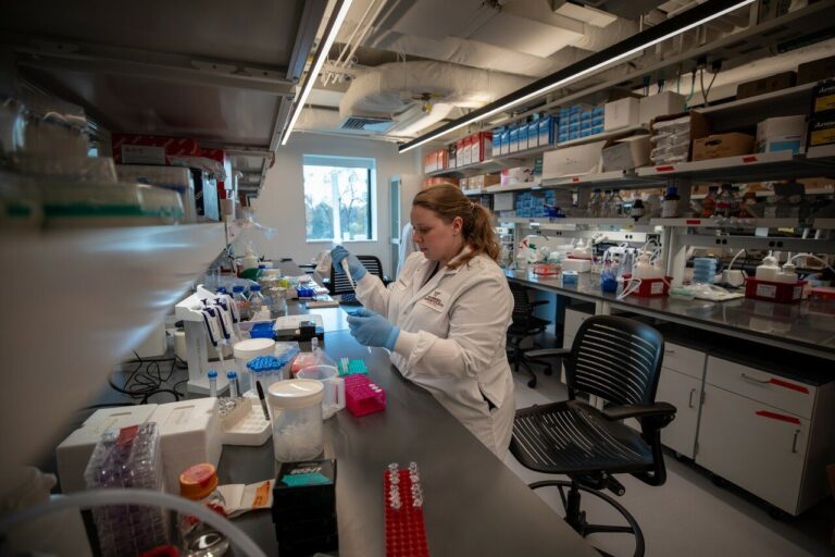 Virginia Tech Research Continues to Grow Federal Support