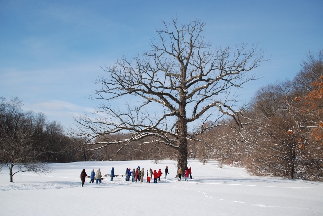 MELINDA MYERS: Take A Break In Nature
