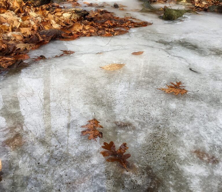 FRED FIRST: Bones, Bits and Bytes – Don’t Let The Door Hit Ya 2024 . . .