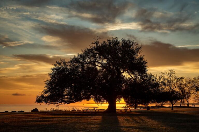 Scenic Virginia Announces 2024 Photo Contest Winners