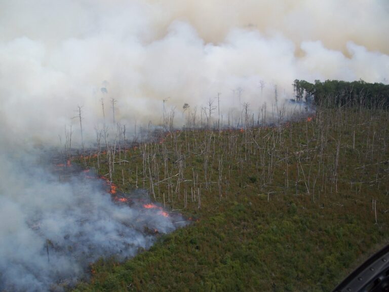 California wildfires highlight the importance of fire preparedness in all communities