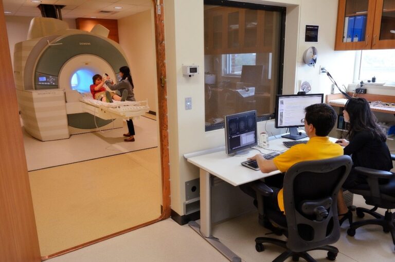 Novel research reveals how adversity shapes the developing brain and its connection to future health risks