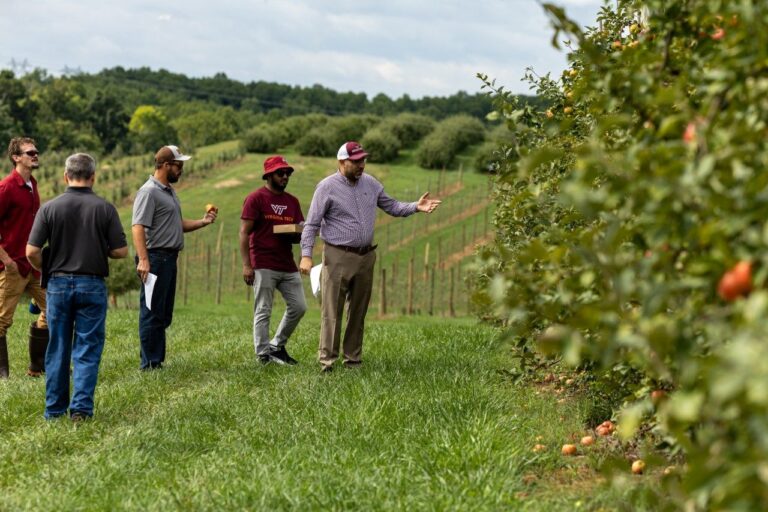 Virginia Tech Agricultural Research and Extension Centers set 2025 field days
