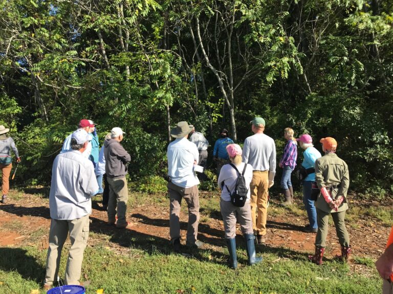 For Extension Master Gardeners, community power is key to controlling invasive species