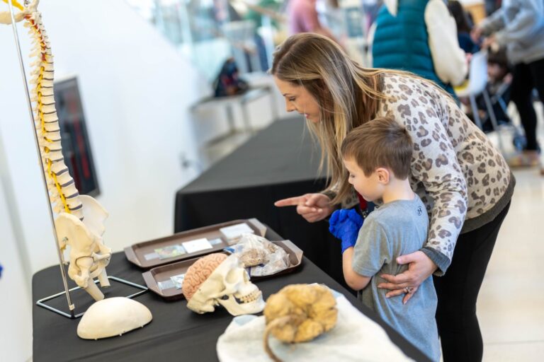 Go behind the scenes of brain research at the 12th annual Brain School