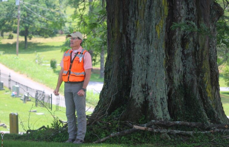 National Champion Trees program revitalized