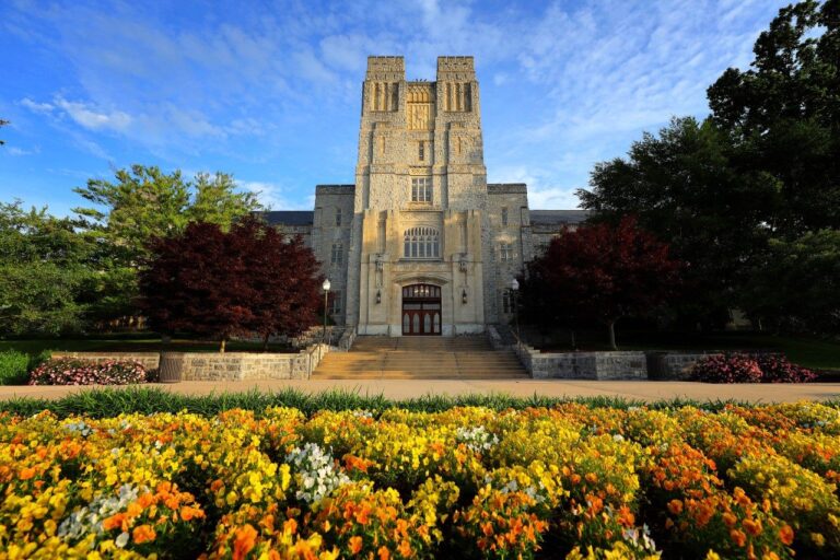 Virginia Tech Research Team Secures New Funding for Health Care Technology