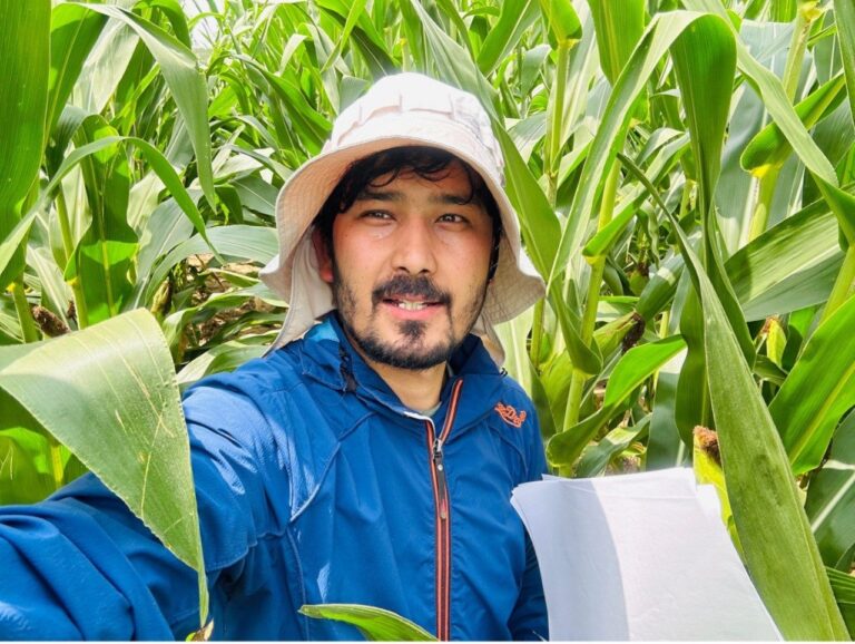 Virginia Tech researcher tackles corn disease with data