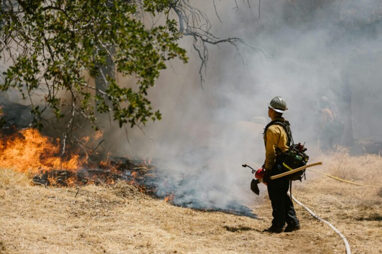 Firefighting without PFAS, expert explains