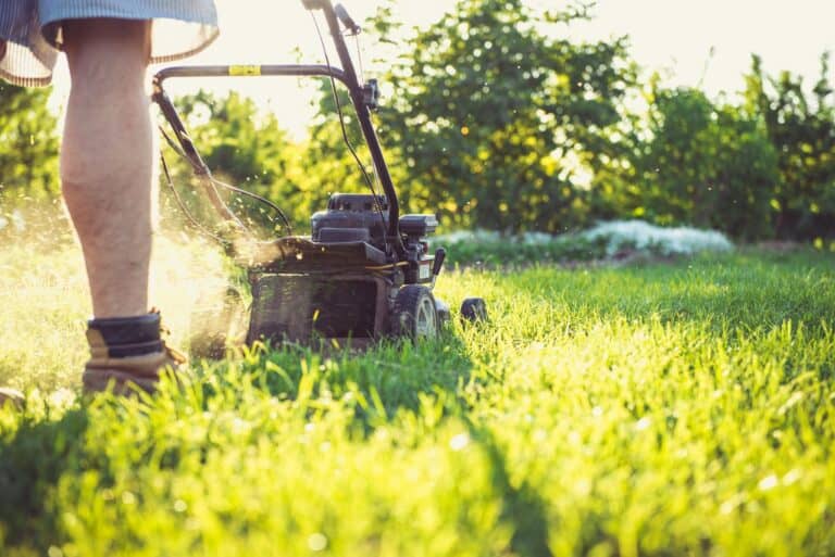 VA Tech Expert Shares Spring Lawn Care Tips