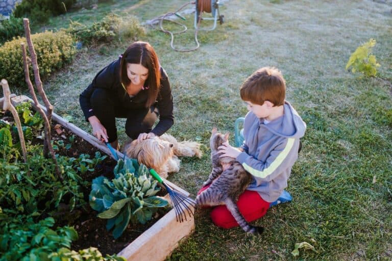 Four tips for creating a pet-friendly garden