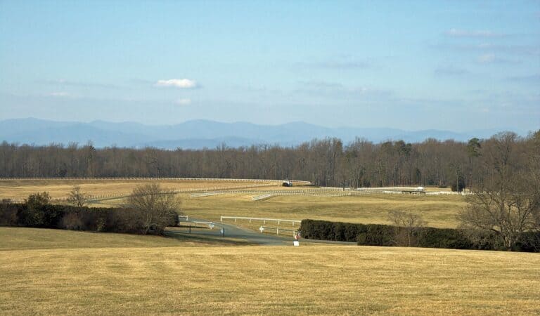 Veterans Operate 1 in 5 Virginia Farms, Census Finds