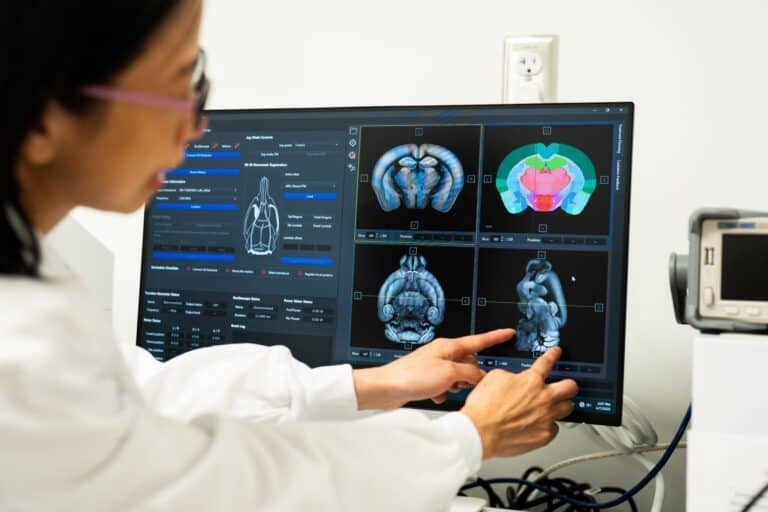 Could a creatine boost help the brain? VA Tech scientists test new ultrasound therapy