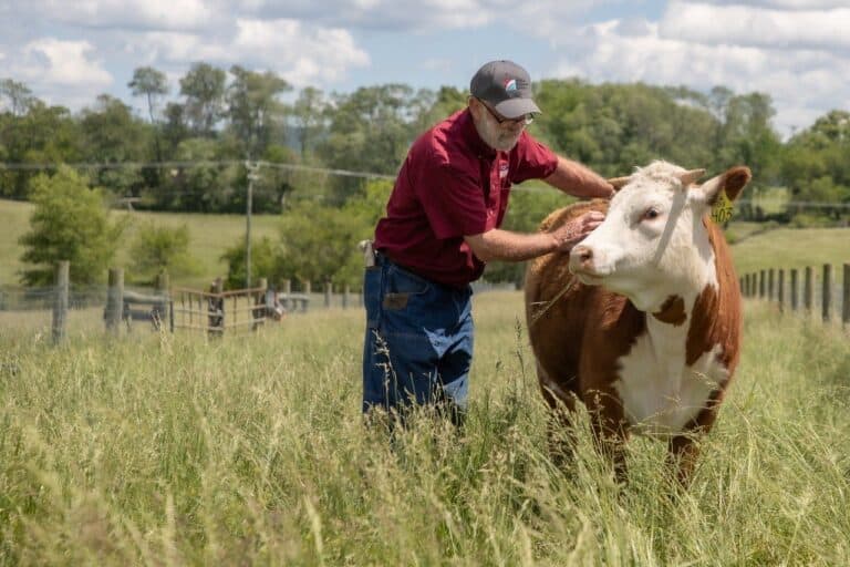 Virginia Launches Survey to Recognize Farmers in Chesapeake Bay Watershed